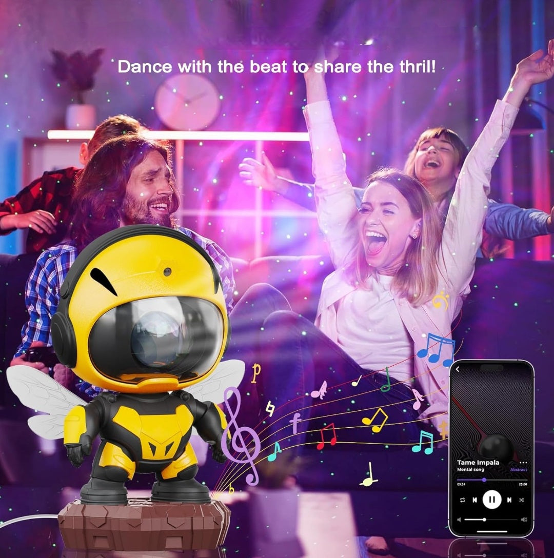 Bee Norðurljósavarpi (sjáðu myndbandið)