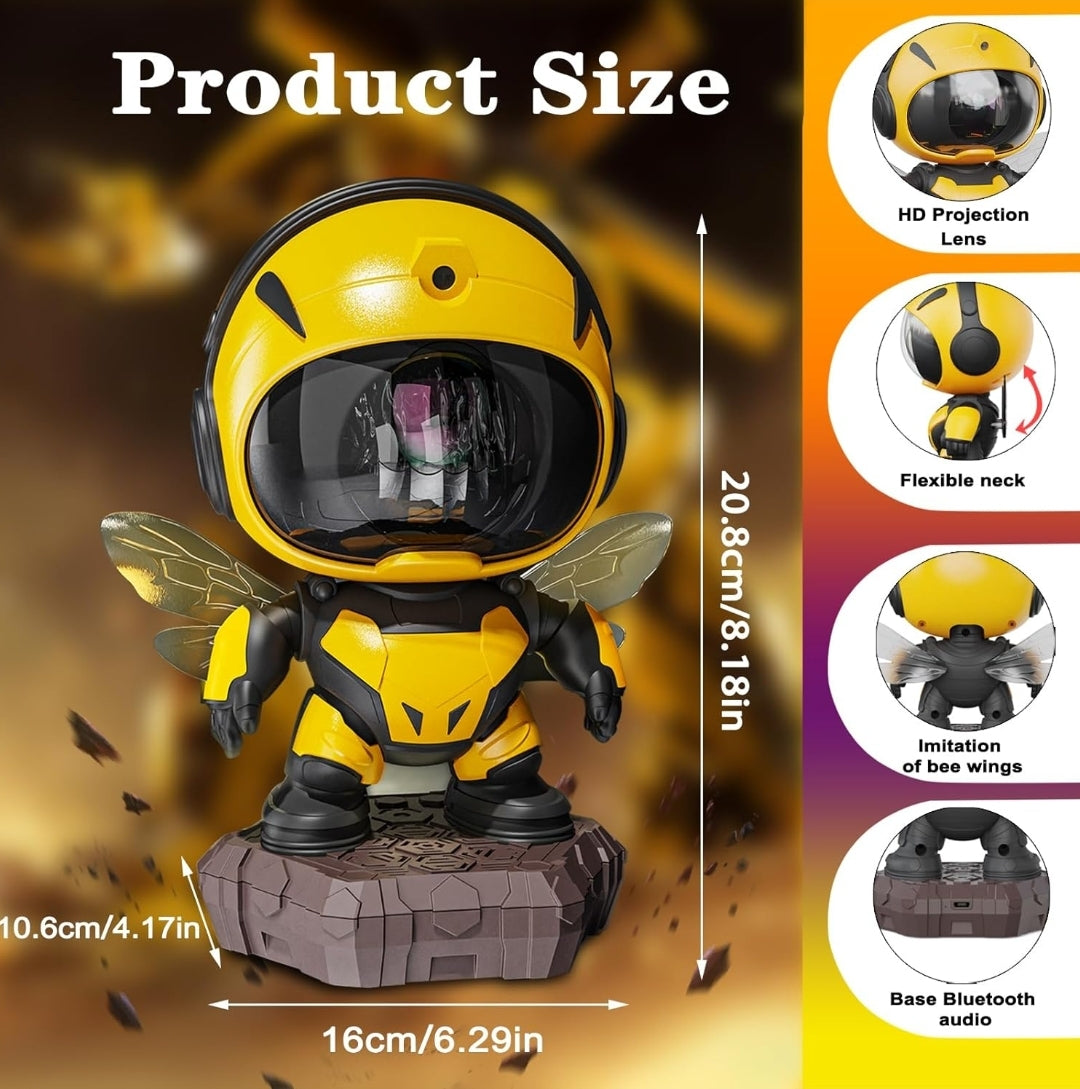 Bee Norðurljósavarpi (sjáðu myndbandið)