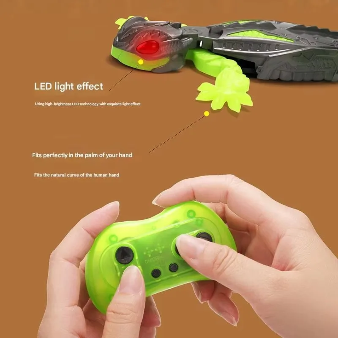 Gecko climb / Veggeðla