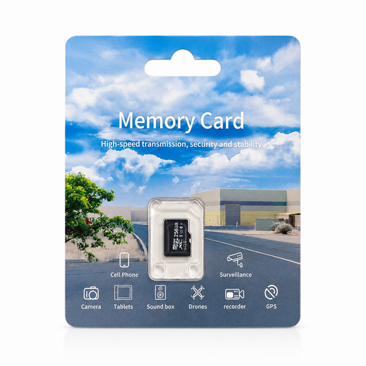 MicroSDXC minniskort 256 GB