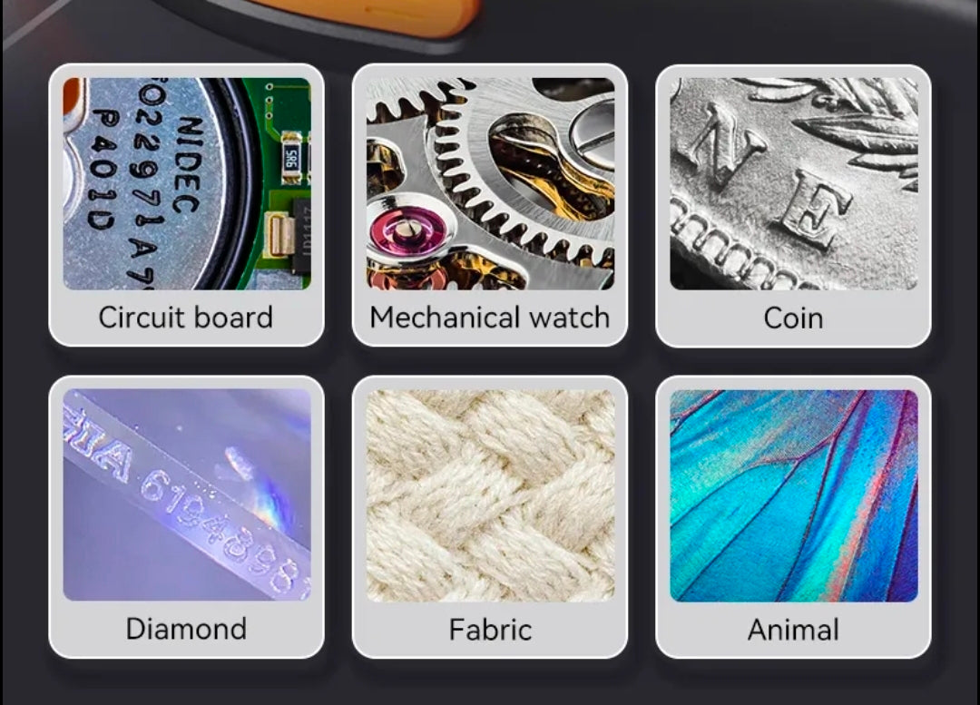 Smásjá m/ lýsingu & 500x stækkun / SD kort