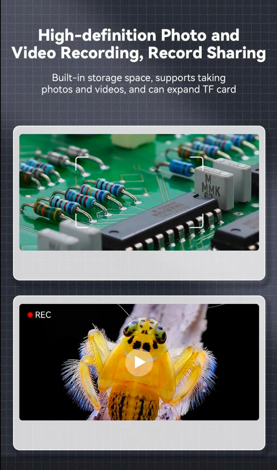 Smásjá m/ lýsingu & 500x stækkun / SD kort